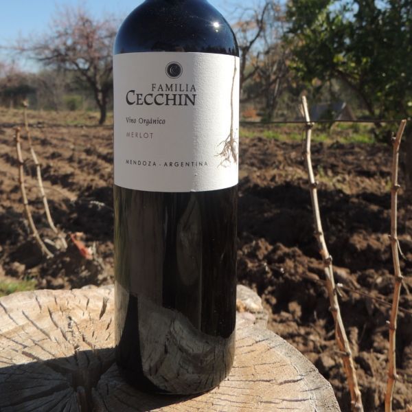 Organic Wine Argentina