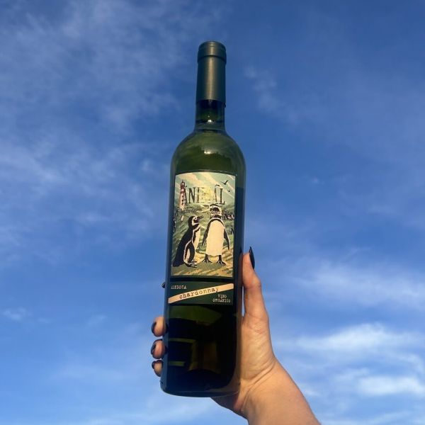 Organic Wine Argentina