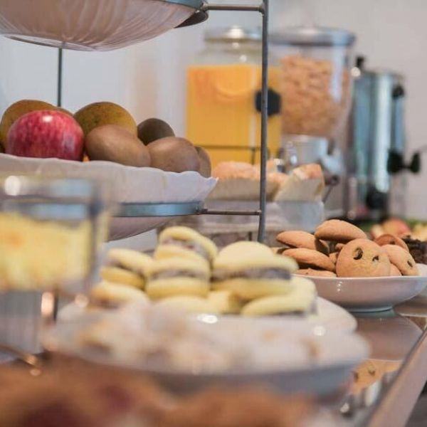 Del Viejo Esquiador Hotel