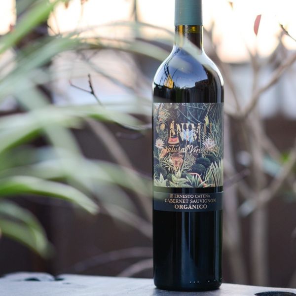 Organic Wine Argentina