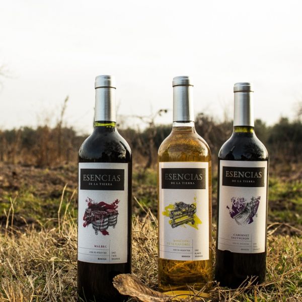 Organic Wine Argentina