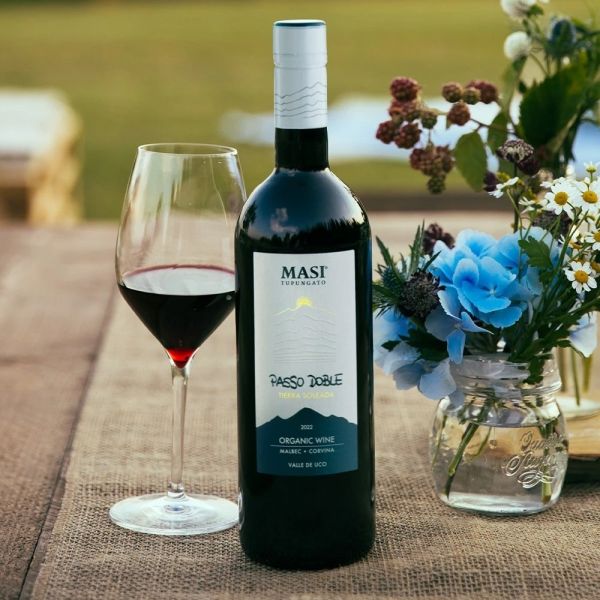 Organic Wine Argentina